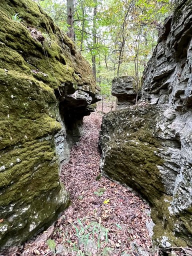 Vacation Rentals (United States of America, Fayetteville, Arkansas)