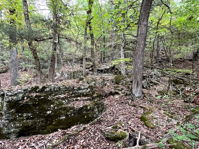 Vacation Rentals (United States of America, Fayetteville, Arkansas)