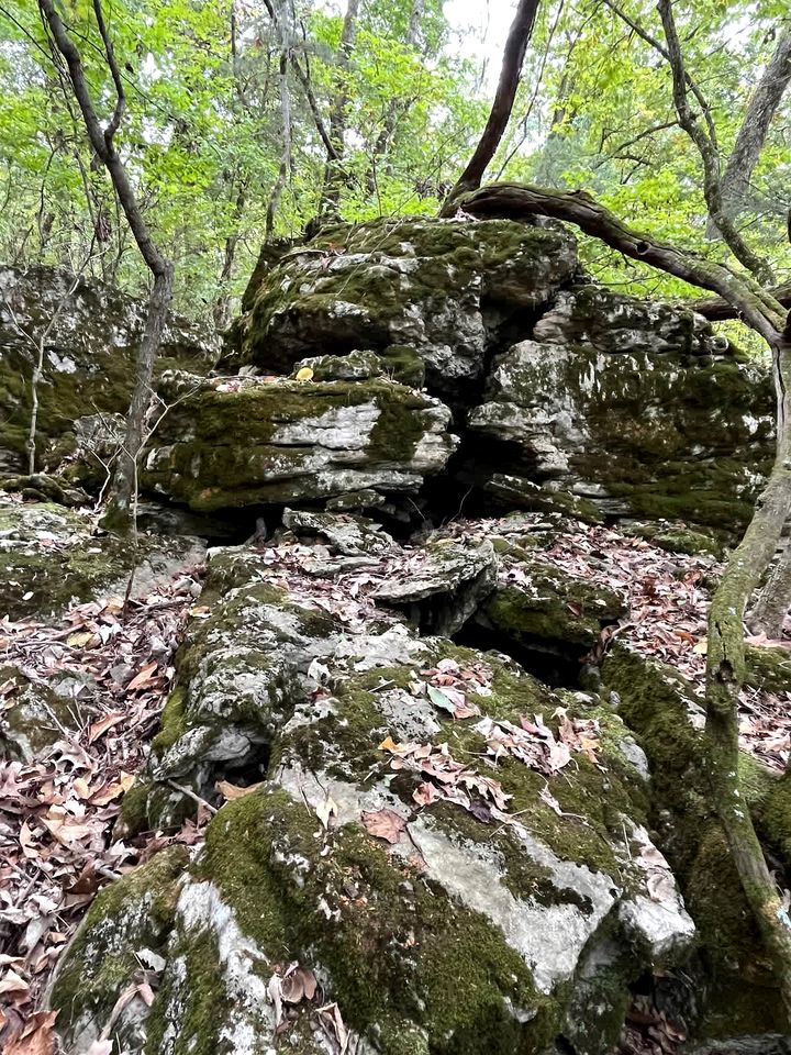 Secluded Riverfront Cabin with Scenic Bluffs near Fayetteville, Arkansas