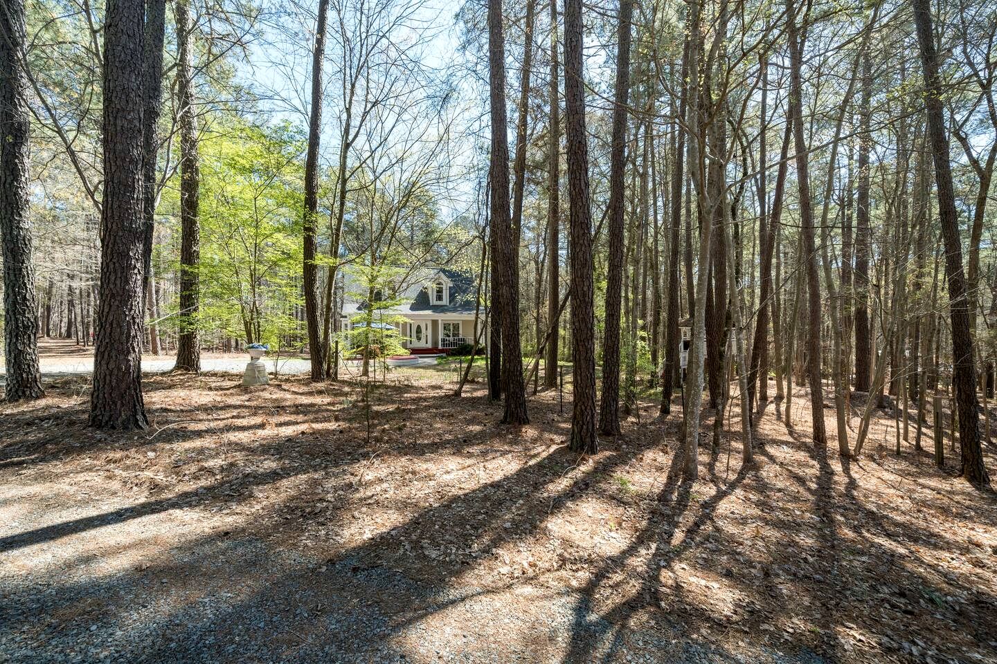Off-Grid Cottage with Foosball and Great Vistas in Chapel Hill, North Carolina