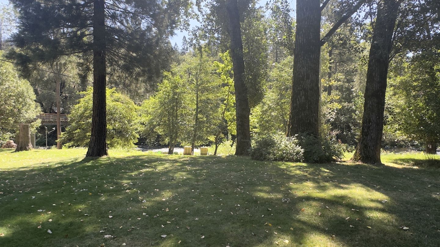 Gorgeous Creekfront Cabin in Castella, California