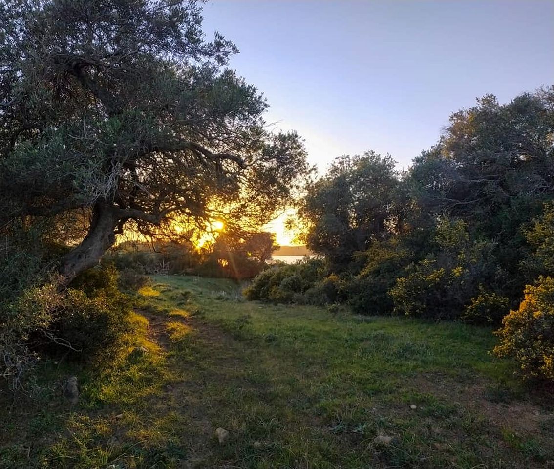 Picturesque Rural Cottage for a Family Holiday near Cádiz, Spain