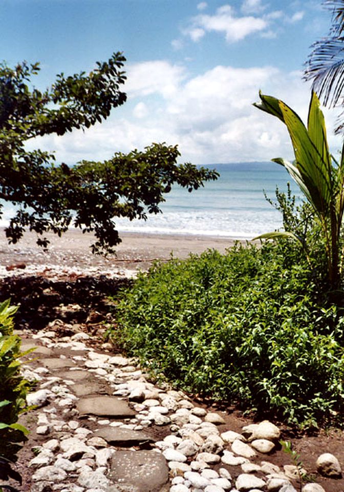 Unique Bamboo Cabin Accommodation near Puerto Jiménez, Costa Rica