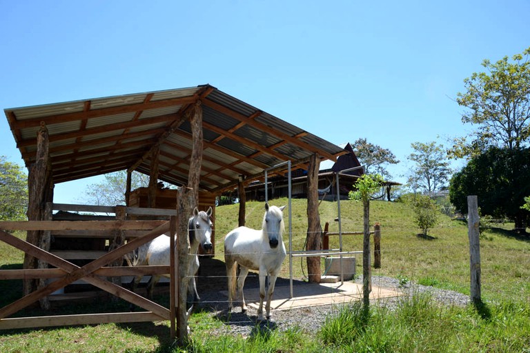 Nature Lodges (Montezuma, Puntarenas, Costa Rica)