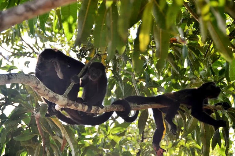 Nature Lodges (Montezuma, Puntarenas, Costa Rica)