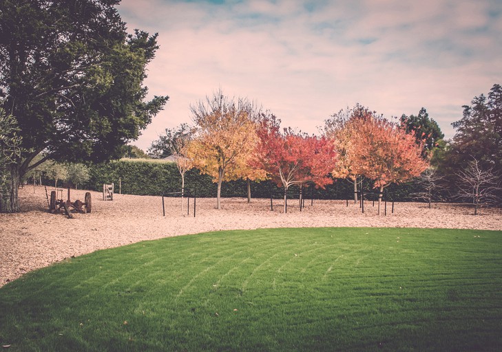 Nature Lodges (Auckland, North Island, New Zealand)