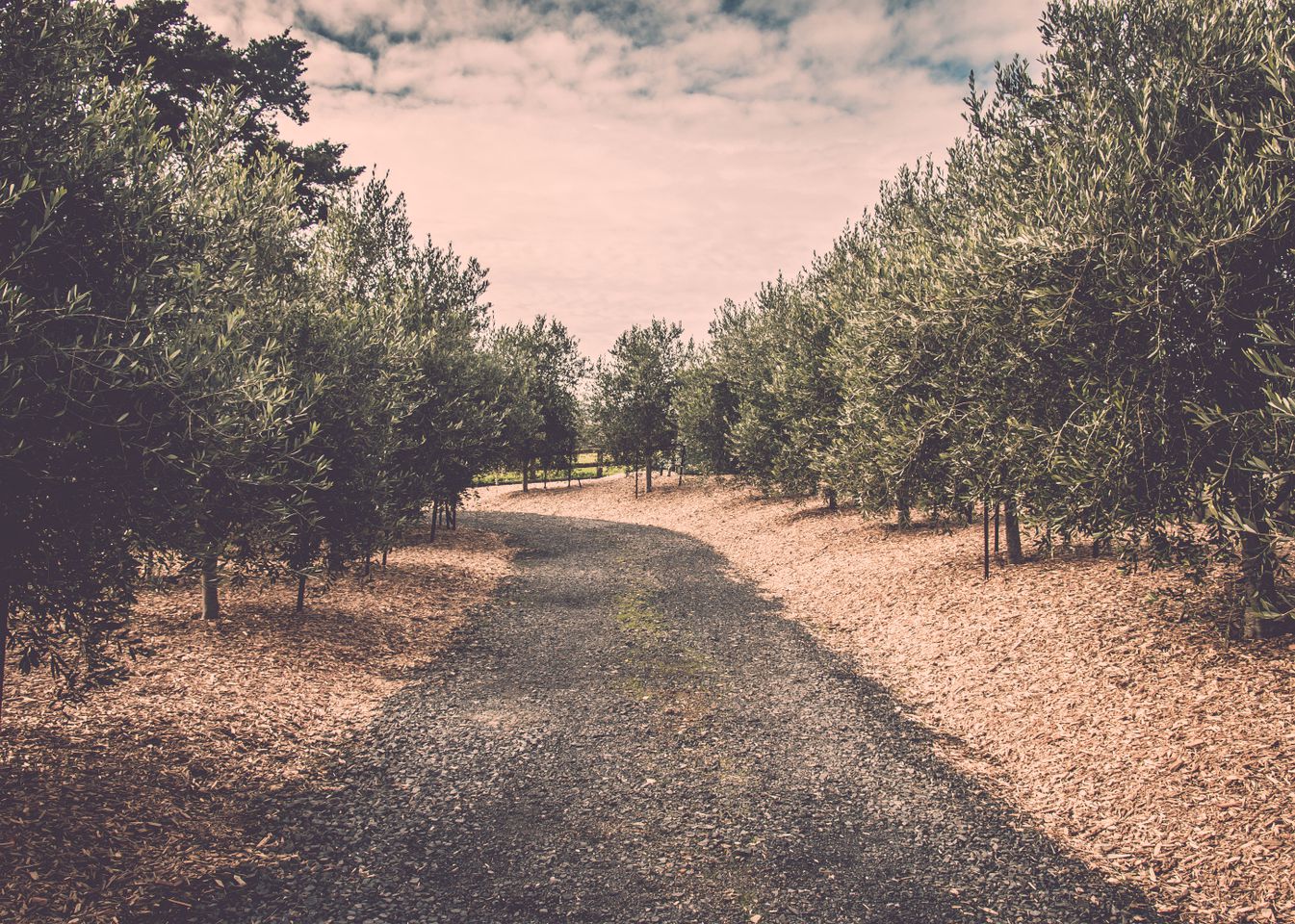 Romantic Room in a Secluded Country Bed and Breakfast near Bombay, Auckland