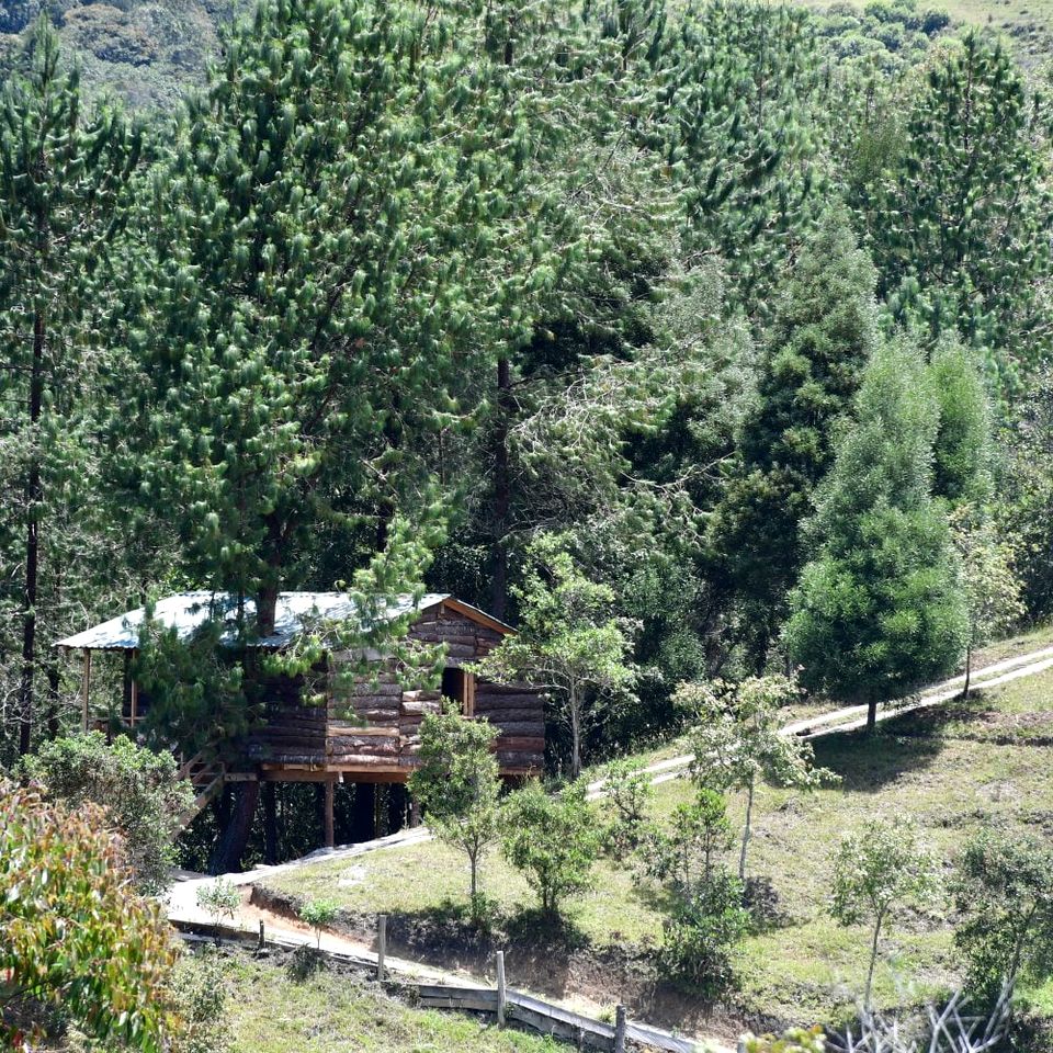 Intimate Tree House with Spa, BBQ and Forest Views in Colombia