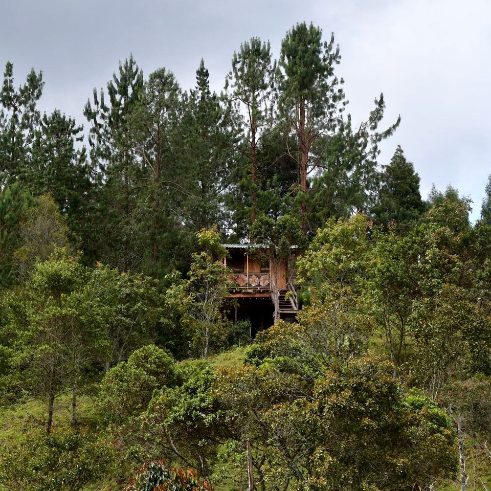Intimate Tree House with Spa, BBQ and Forest Views in Colombia