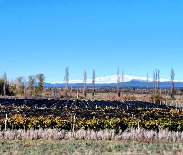 Containers (San Rafael, Mendoza, Argentina)