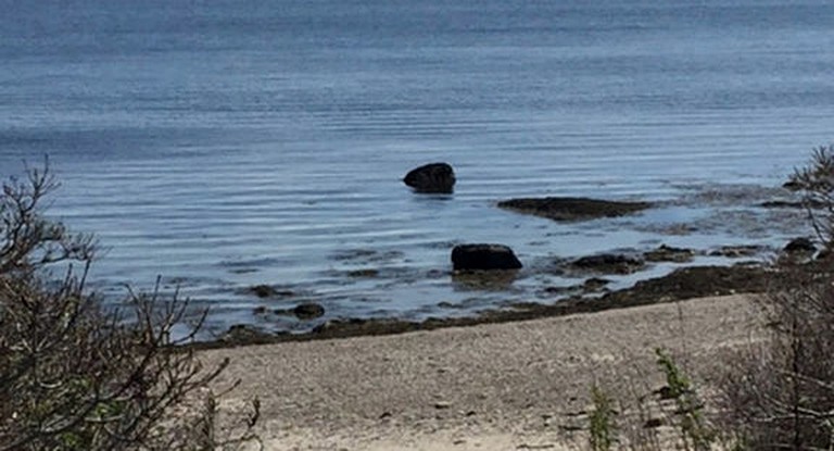 Cabins (Falmouth, Maine, United States)