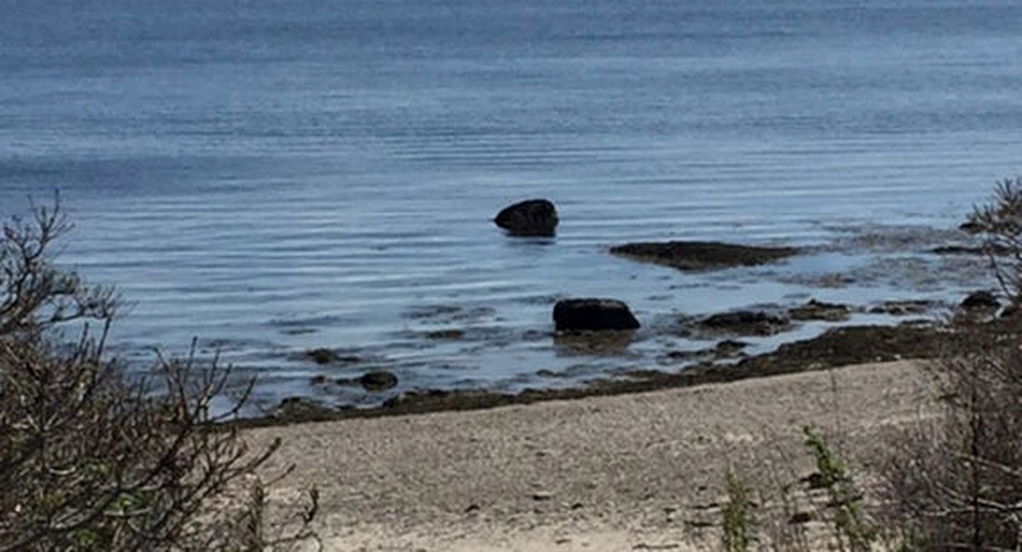 Rustic Cabin on Sturdivant Island with Views of Casco Bay in Falmouth, Maine