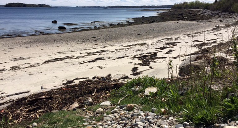 Cabins (Falmouth, Maine, United States)