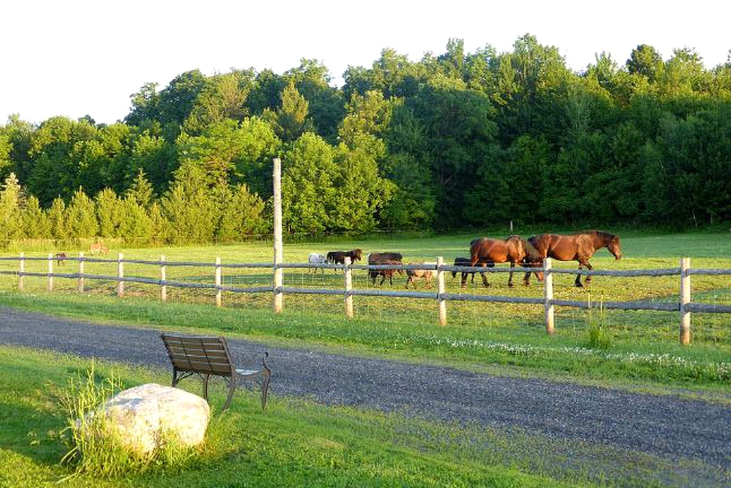 Farm Stay near Ottawa, Ontario
