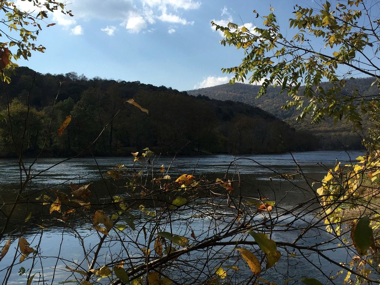Charming Cabin Rental Surrounded by Three Wooded Acres next to the Shenandoah River, Victoria
