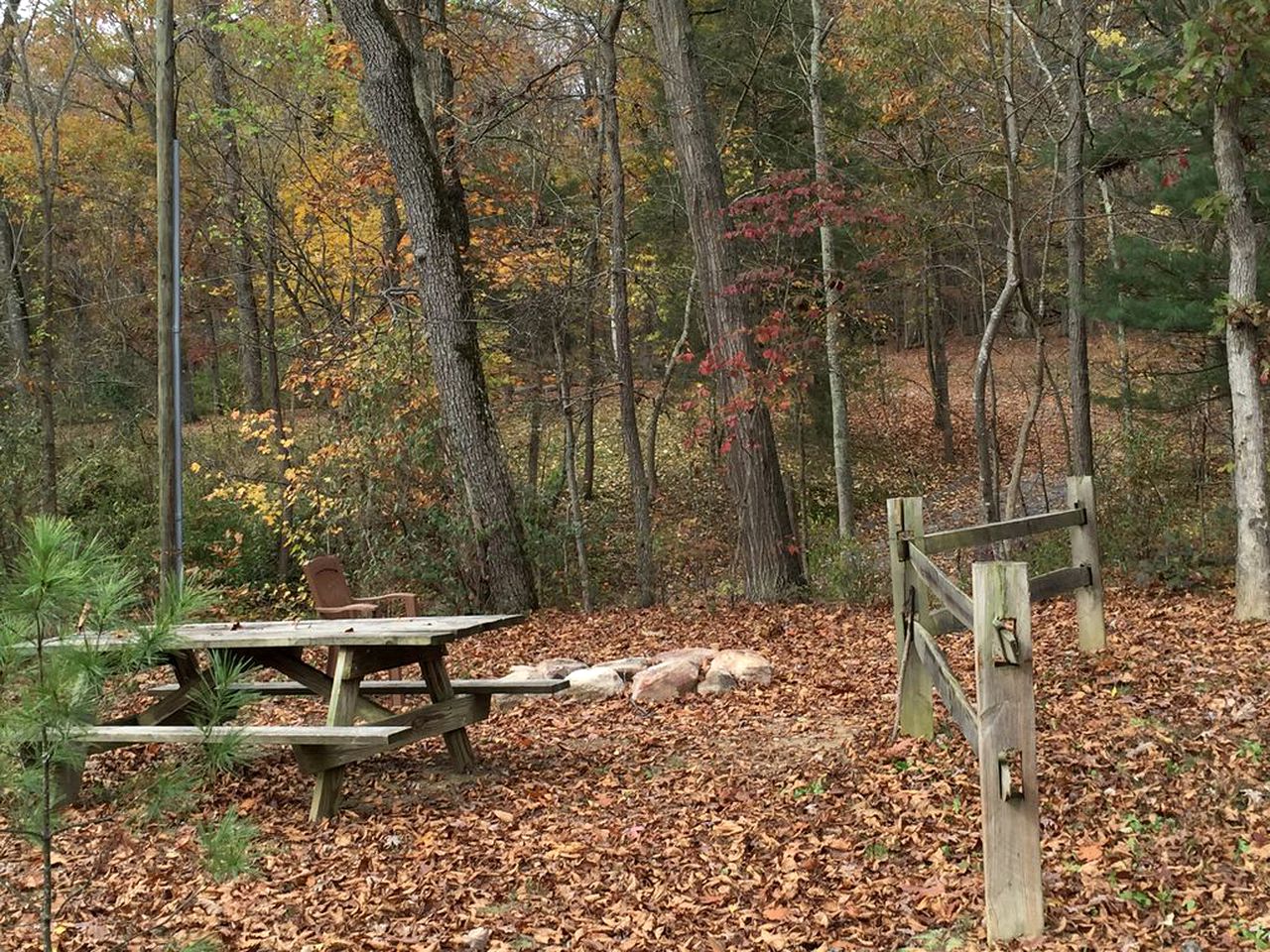 Charming Cabin Rental Surrounded by Three Wooded Acres next to the Shenandoah River, Victoria
