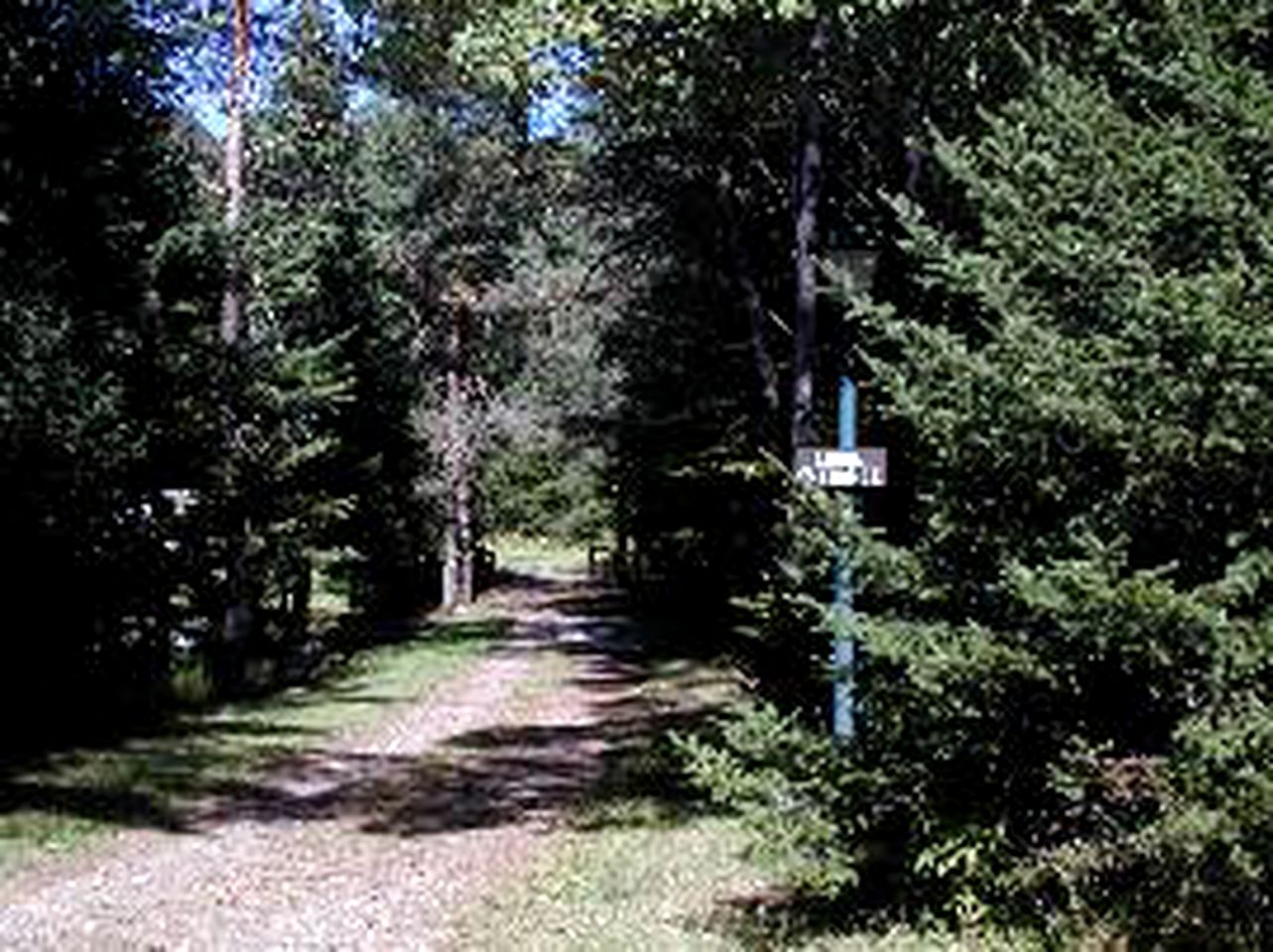 Group Camping Cabin Rental with Wood-Burning Stove in Catamount Forest, New York
