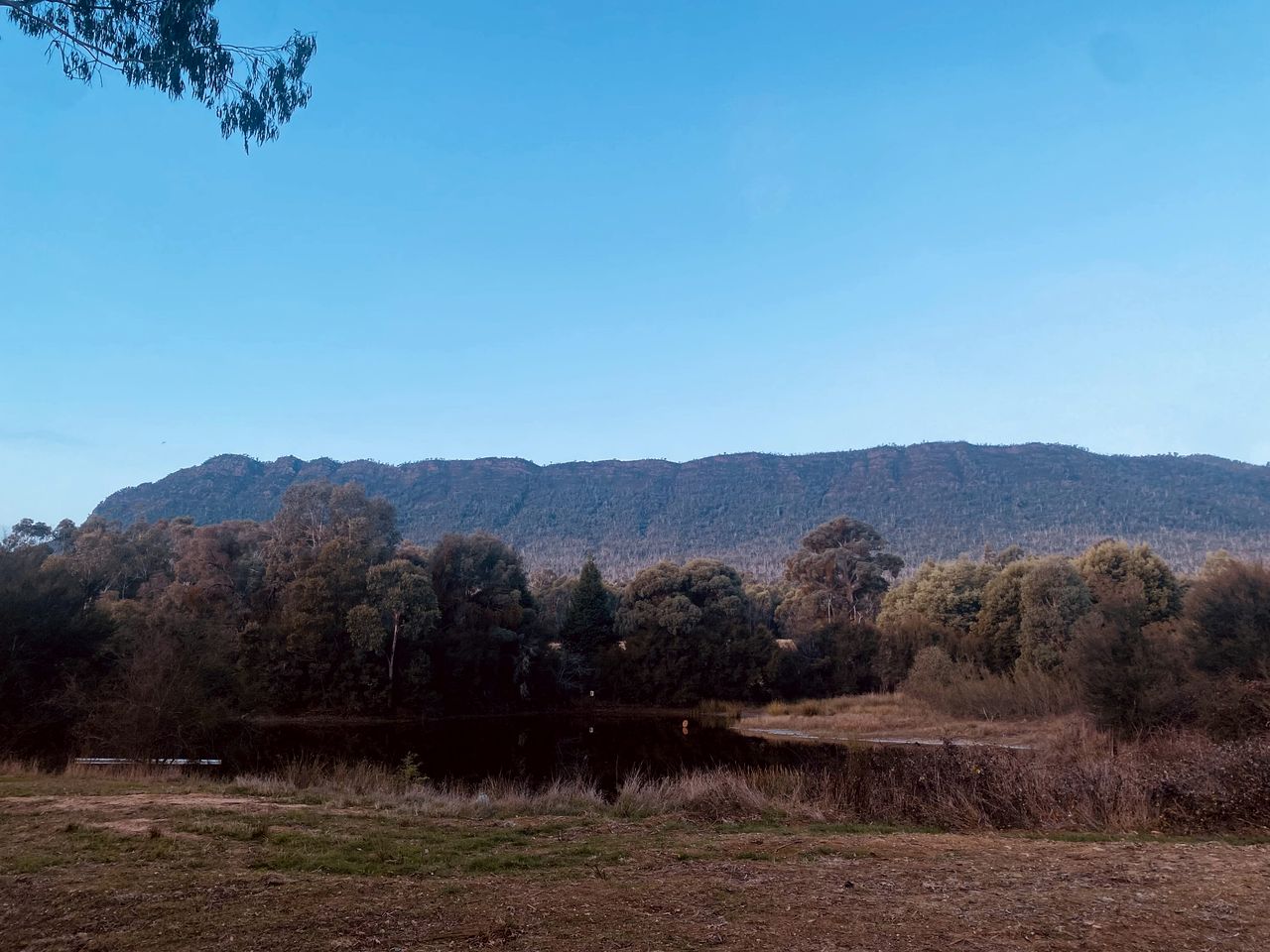 Wonderful Tiny House with Epic Views in Victoria