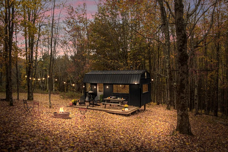 Off-Grid Tiny Cabin Retreat with Fire Pit & Forest Views in Bovina, New York