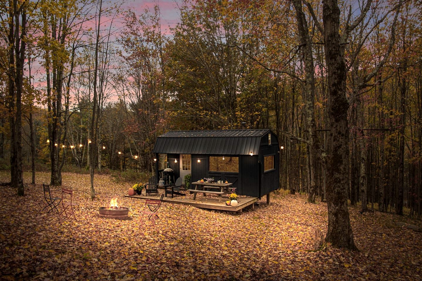Off-Grid Tiny Cabin Retreat with Fire Pit & Forest Views in Bovina, New York