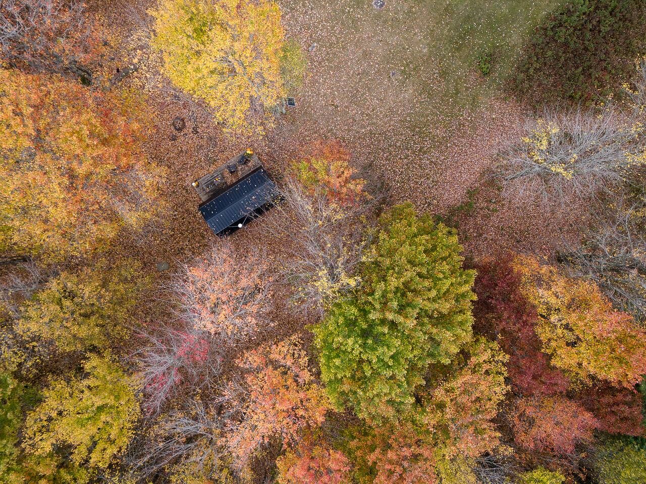 Off-Grid Tiny Cabin Retreat with Fire Pit & Forest Views in Bovina, New York