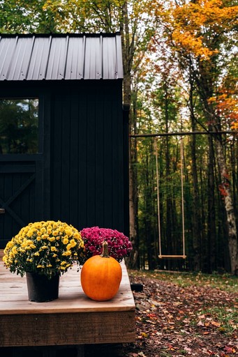 Tiny Houses (United States of America, Bovina, New York)