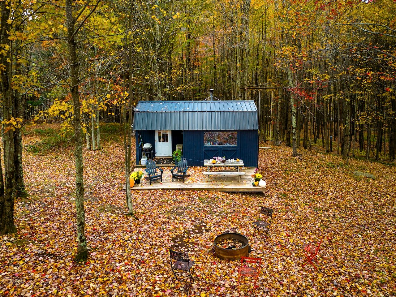 Off-Grid Tiny Cabin Retreat with Fire Pit & Forest Views in Bovina, New York
