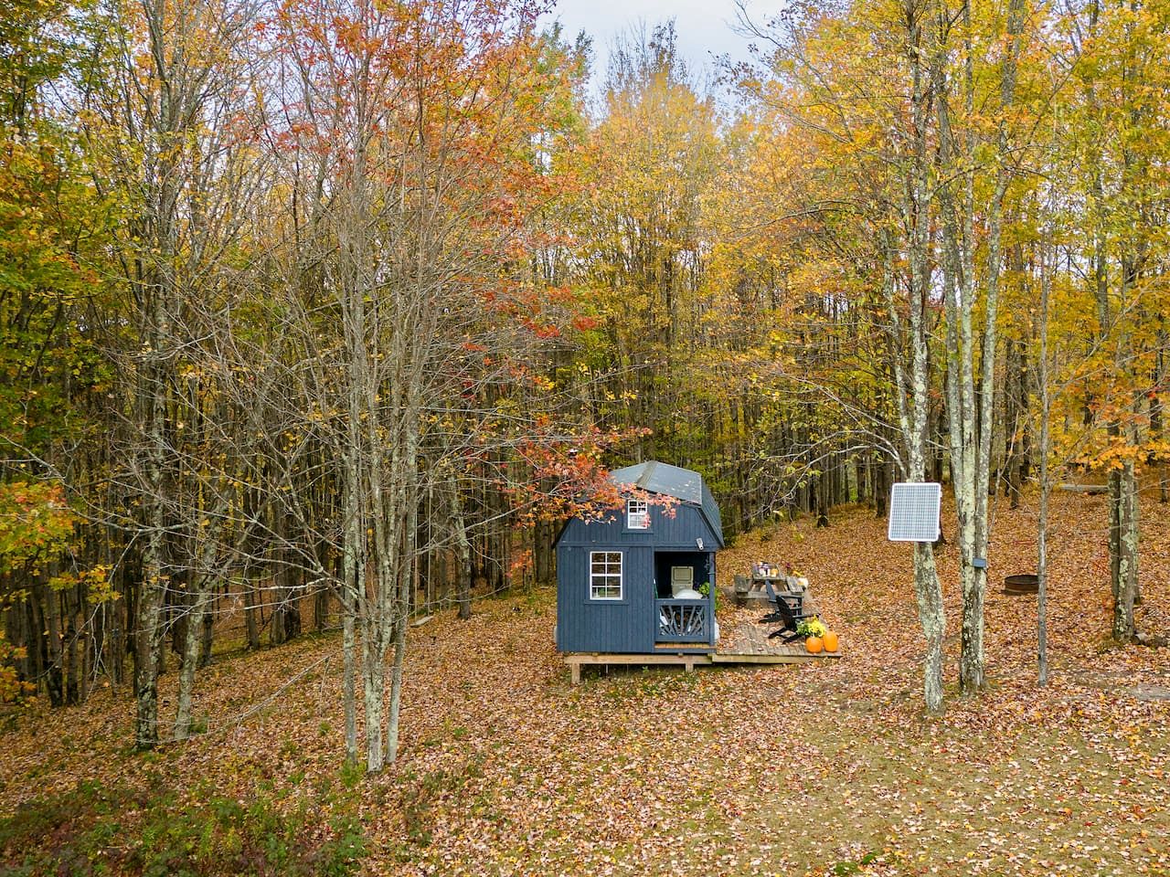 Off-Grid Tiny Cabin Retreat with Fire Pit & Forest Views in Bovina, New York