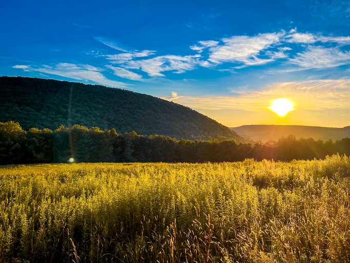 Tiny Houses (United States of America, Bovina, New York)