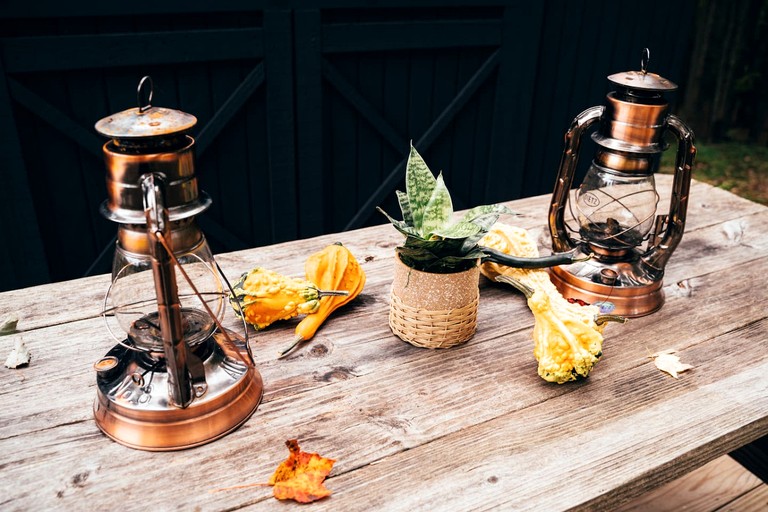 Tiny Houses (United States of America, Bovina, New York)