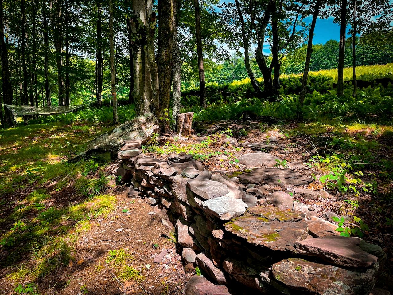 Off-Grid Tiny Cabin Retreat with Fire Pit & Forest Views in Bovina, New York