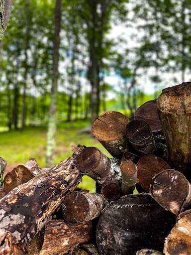 Tiny Houses (United States of America, Bovina, New York)