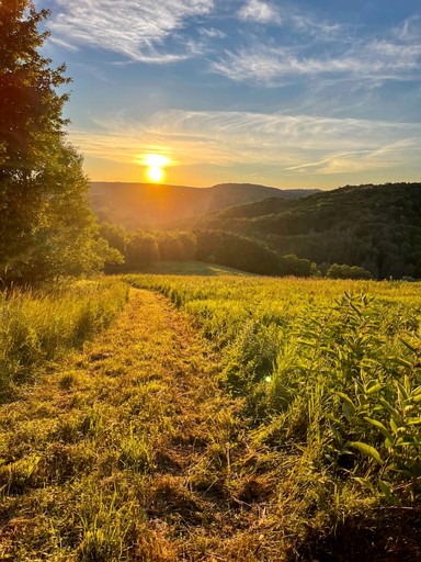 Tiny Houses (United States of America, Bovina, New York)