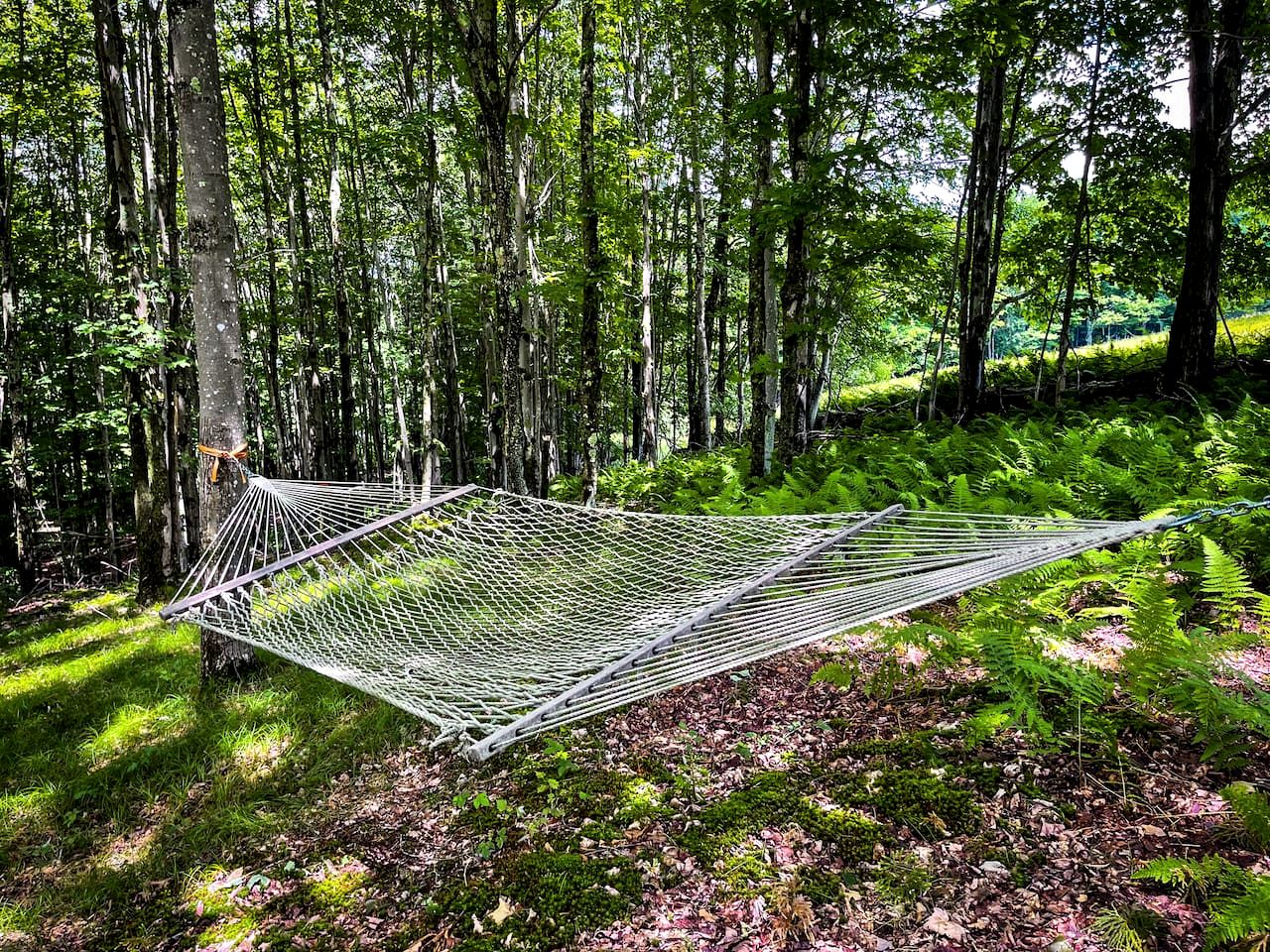 Off-Grid Tiny Cabin Retreat with Fire Pit & Forest Views in Bovina, New York