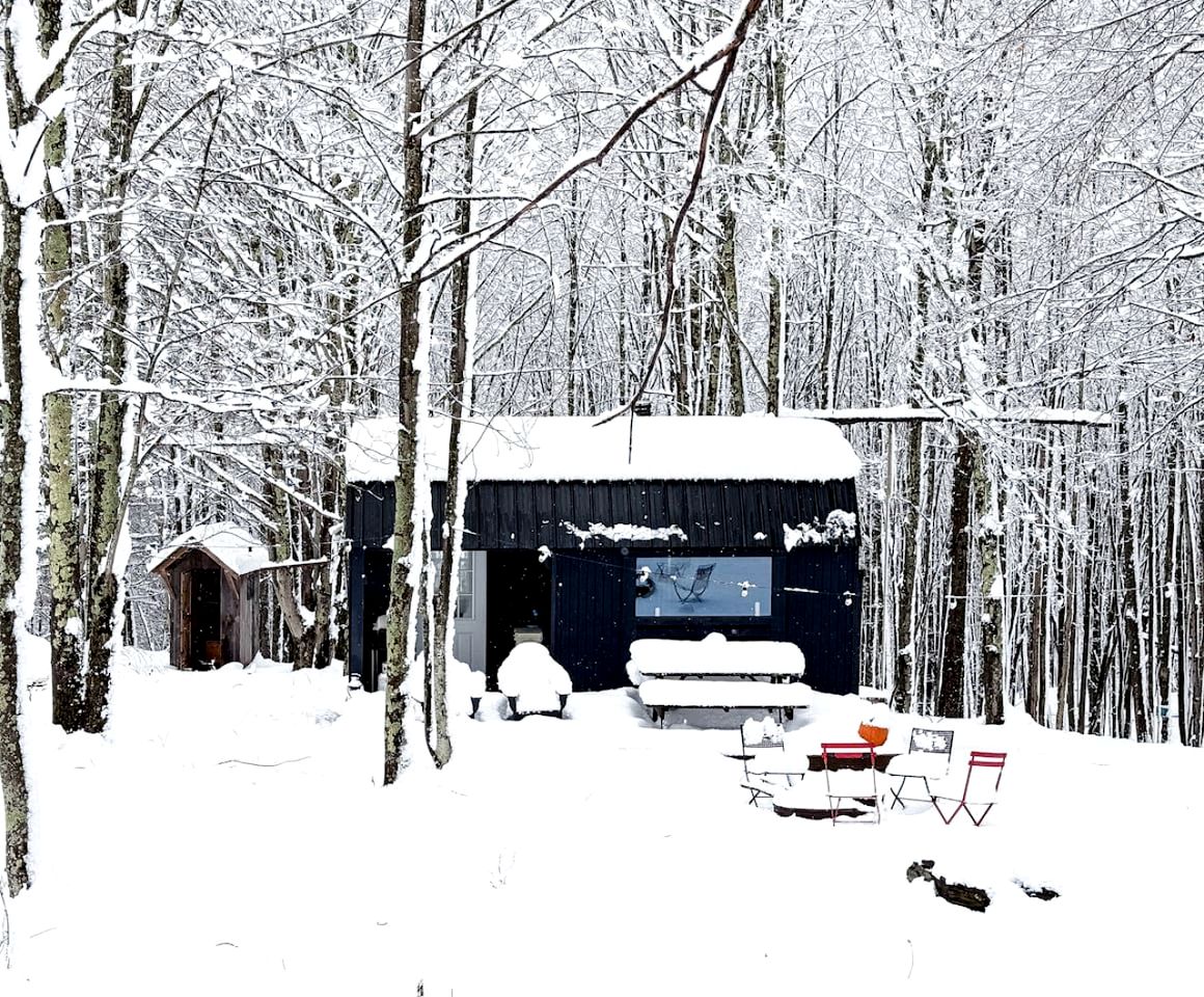 Off-Grid Tiny Cabin Retreat with Fire Pit & Forest Views in Bovina, New York