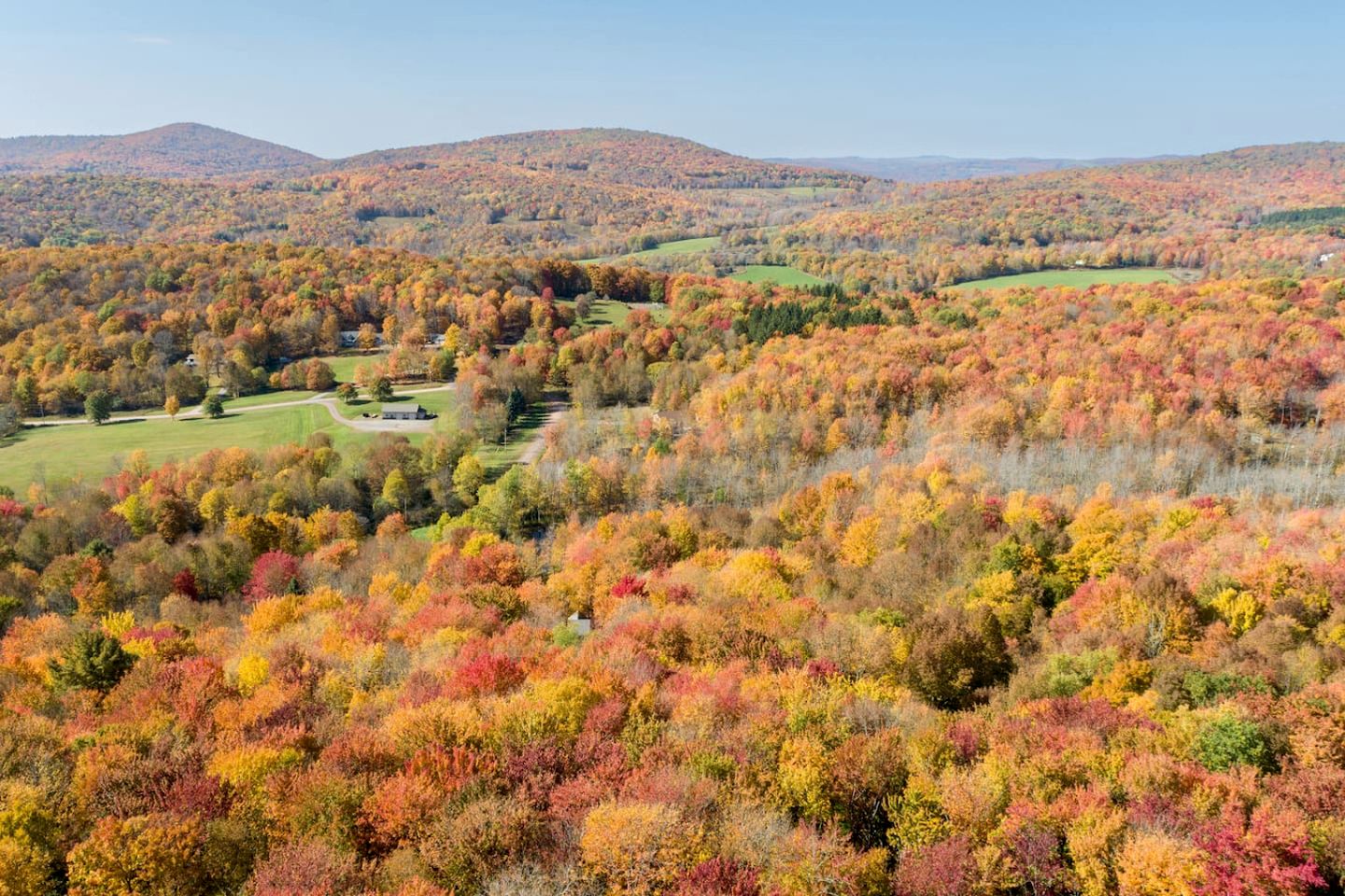 Secluded Luxury Retreat with Sauna, Pond & Forest Views in Bovina, New York