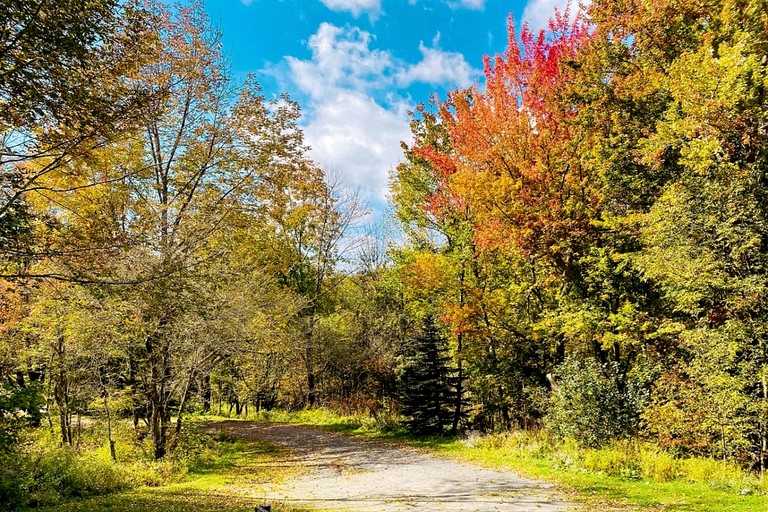 Vacation Rentals (United States of America, --, New York)