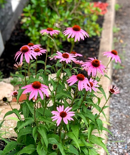 Vacation Rentals (United States of America, Margaretville, New York)