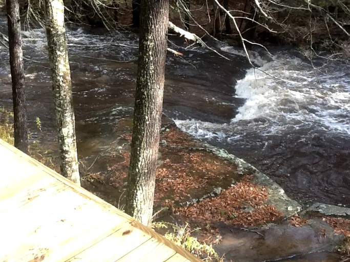 Cabins (Narrowsburg, New York, United States)