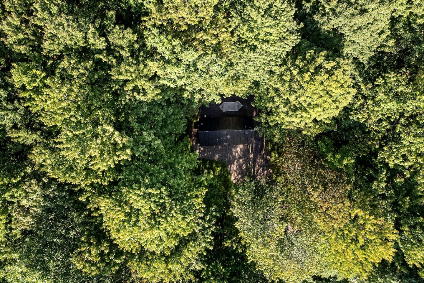 Charming Minimalist Hideaway for Rest & Reconnection in Bloomville, New York