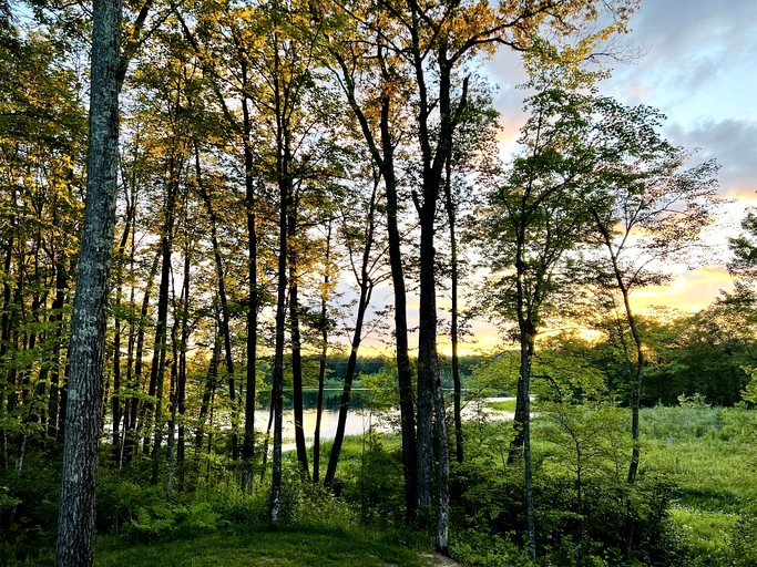 Cabins (United States of America, Stone Lake, Wisconsin)