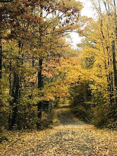 Cabins (United States of America, Stone Lake, Wisconsin)