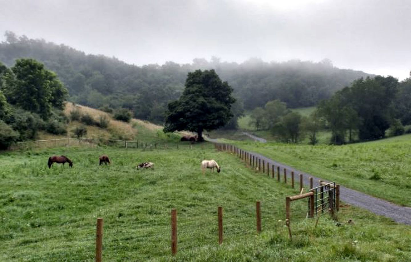 Romantic Getaway Surrounded by Peaceful Farmland near Lewisburg, West Virginia