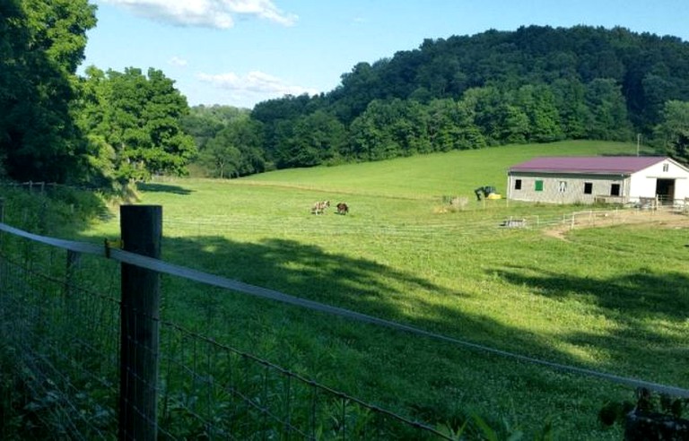 Nature Lodges (Lewisburg, West Virginia, United States)