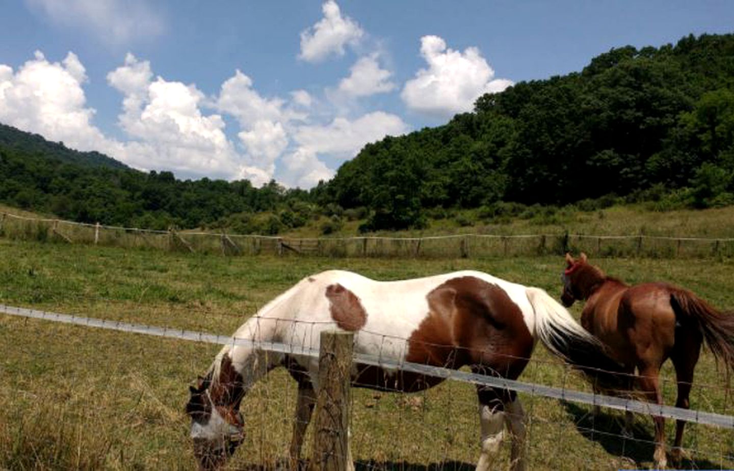 Romantic Getaway Surrounded by Peaceful Farmland near Lewisburg, West Virginia