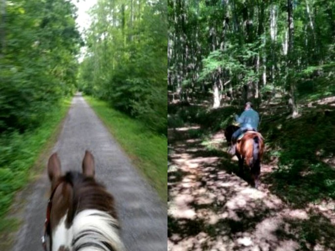 Nature Lodges (Lewisburg, West Virginia, United States)