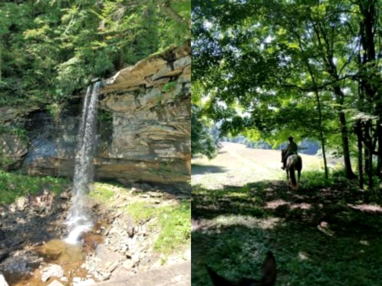 Romantic Getaway Surrounded by Peaceful Farmland near Lewisburg, West Virginia