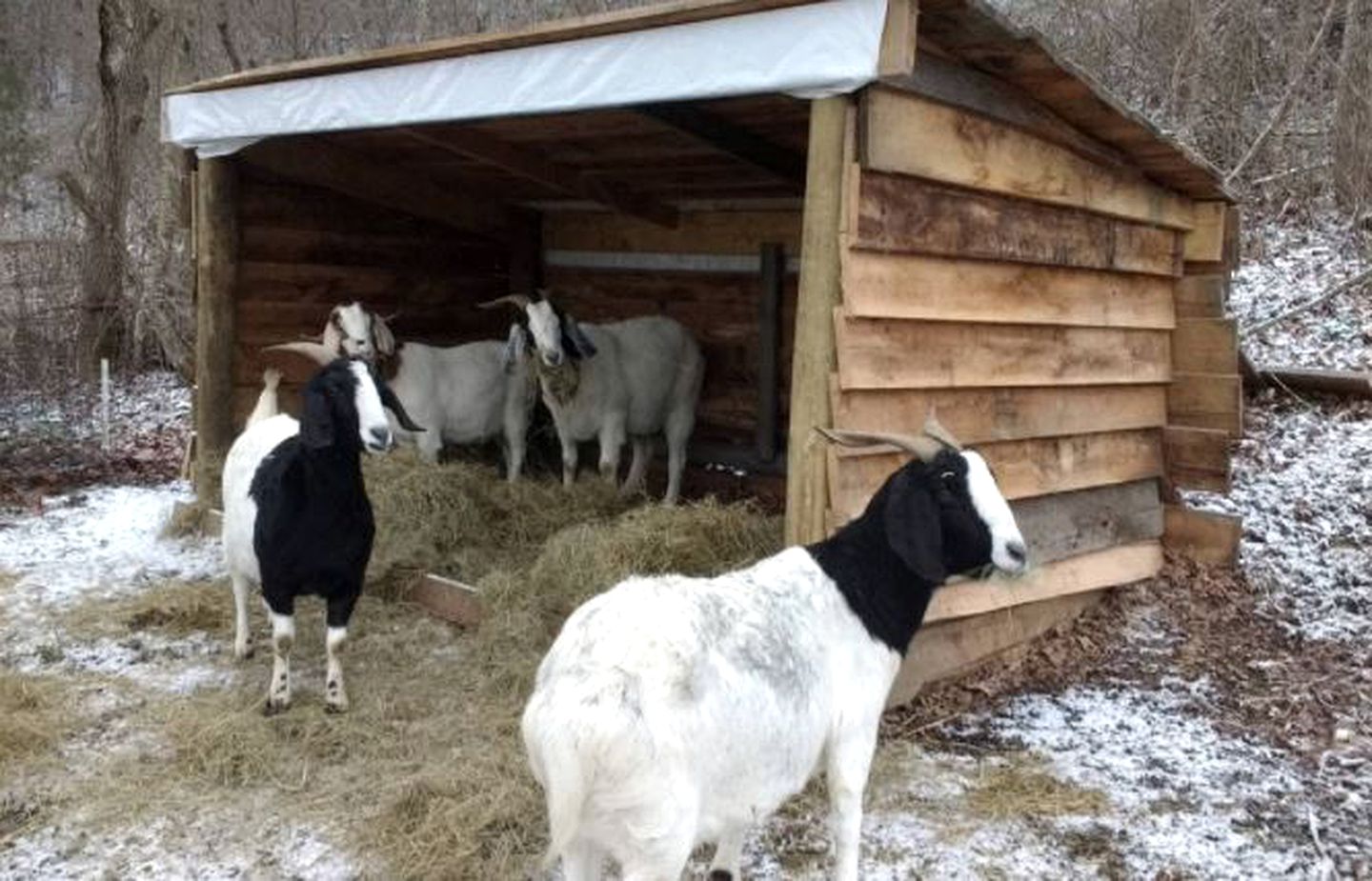 Romantic Getaway Surrounded by Peaceful Farmland near Lewisburg, West Virginia