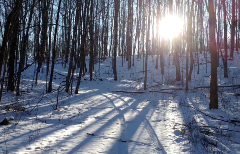 Nature Lodges (Lewisburg, West Virginia, United States)