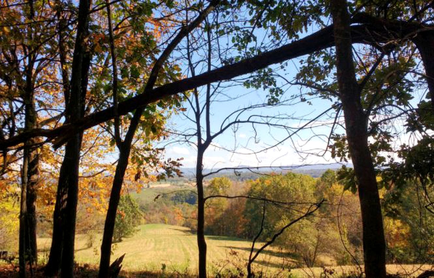 Romantic Getaway Surrounded by Peaceful Farmland near Lewisburg, West Virginia